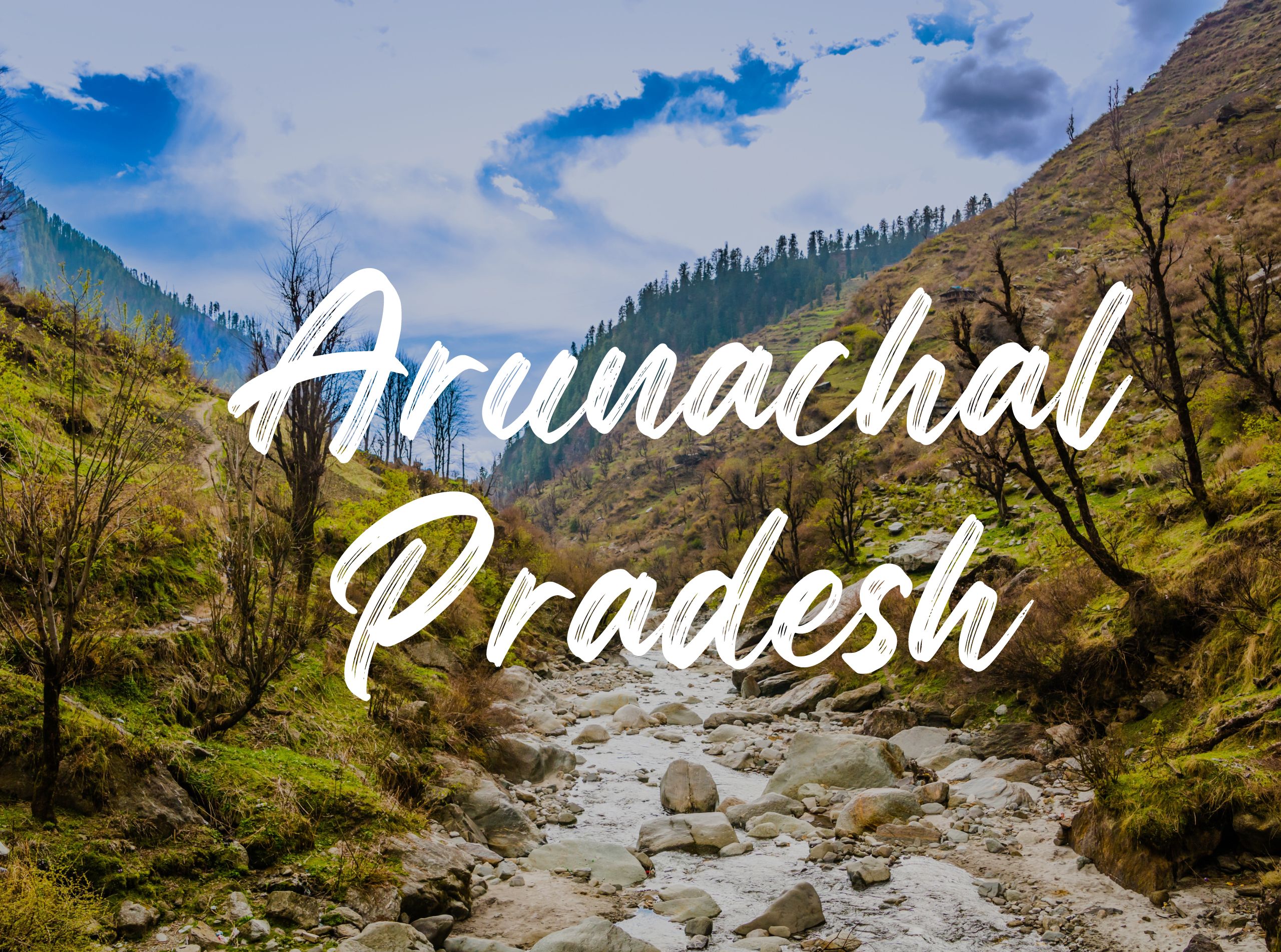 Road Sweeping Machine In Arunachal Pradesh